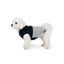 Gotoo - Manteau Polaire Bicolore pour Chiens - 25cm Indicateur image num&eacute;ro 12