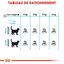 Royal Canin - Croquettes Urinary Care pour Chat - 400g Indicateur image numéro 5