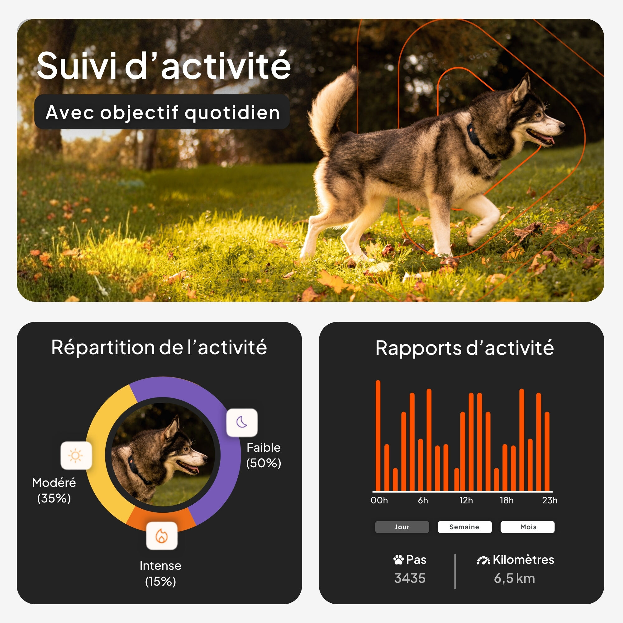 Weenect - Collier GPS XT Chiens - Noir Image num&eacute;ro 4