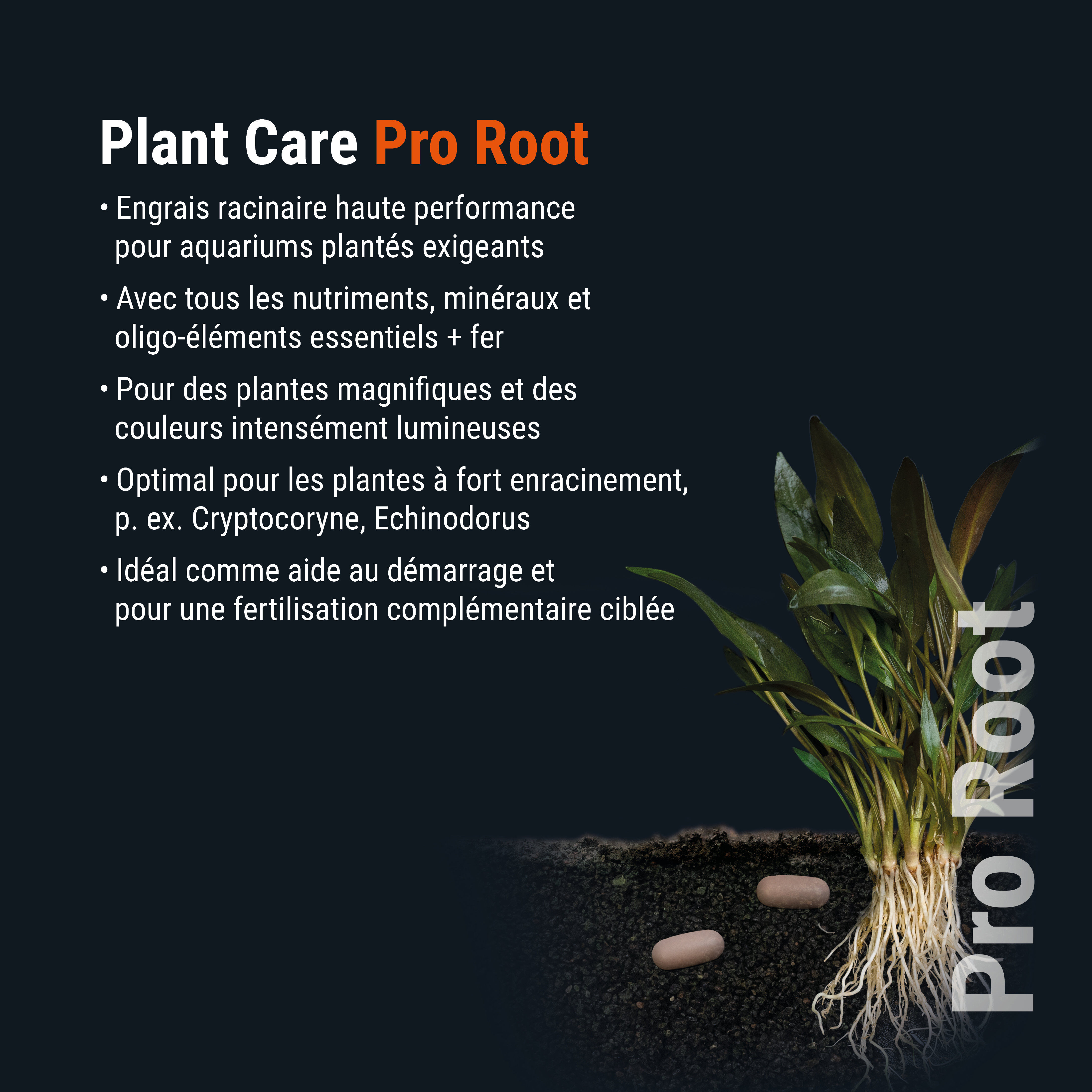 Dennerle - Comprim&eacute;s d'engrais pour Racines Plant Care Pro Root - x10 Image num&eacute;ro 6