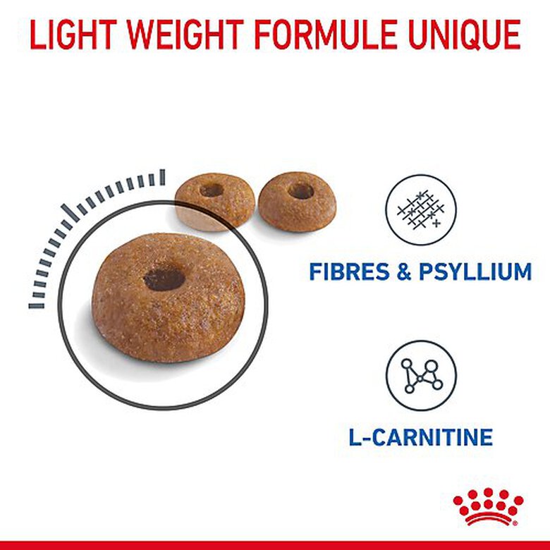 Royal Canin - Croquettes Light Weight Care pour Chat - 3Kg image number null