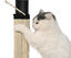 Leeby - Griffoir Pied Table pour Chats - 44,5x5cm Indicateur image numéro 3