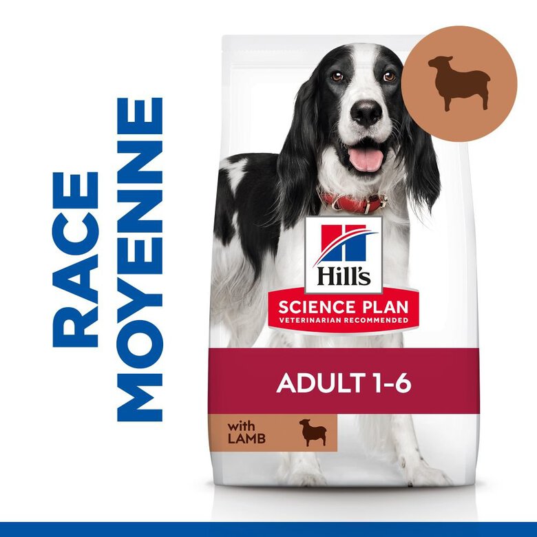 Hill's Science Plan - Adult Croquettes Pour Chien A L'agneau Et Riz  - 12kg Image numéro 4 Hill's Science Plan - Adult Croquettes Pour Chien A L'agneau Et Riz  - 12kg Image numéro 4