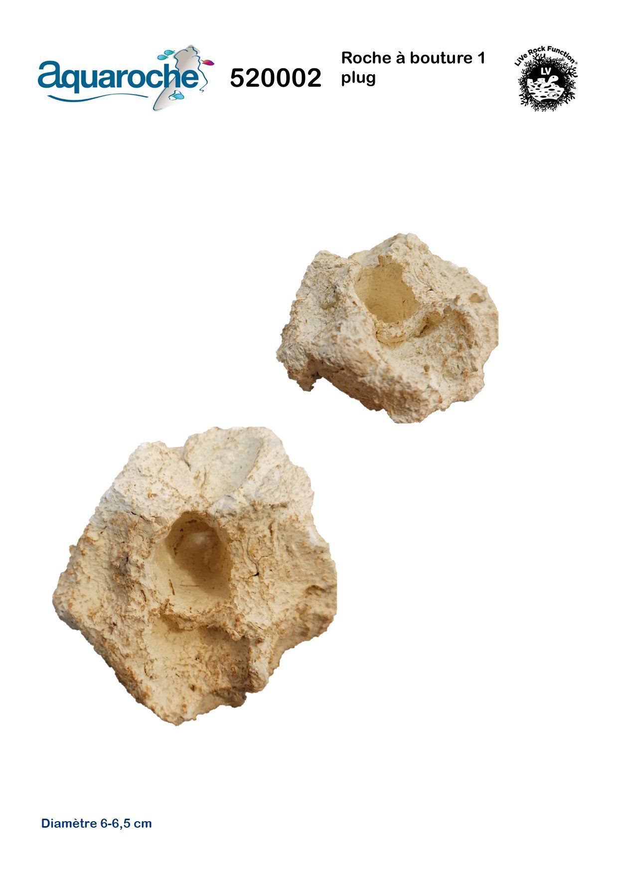 Aquaroche - Roche A Bouture - 1 Plug Image num&eacute;ro 1