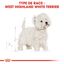 Royal Canin - Croquettes Westie pour Chien Adulte - 3Kg Indicateur image numéro 3