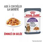 Royal Canin - Sachets Appetite Control Care en Gelée pour Chat - 12x85g image number null