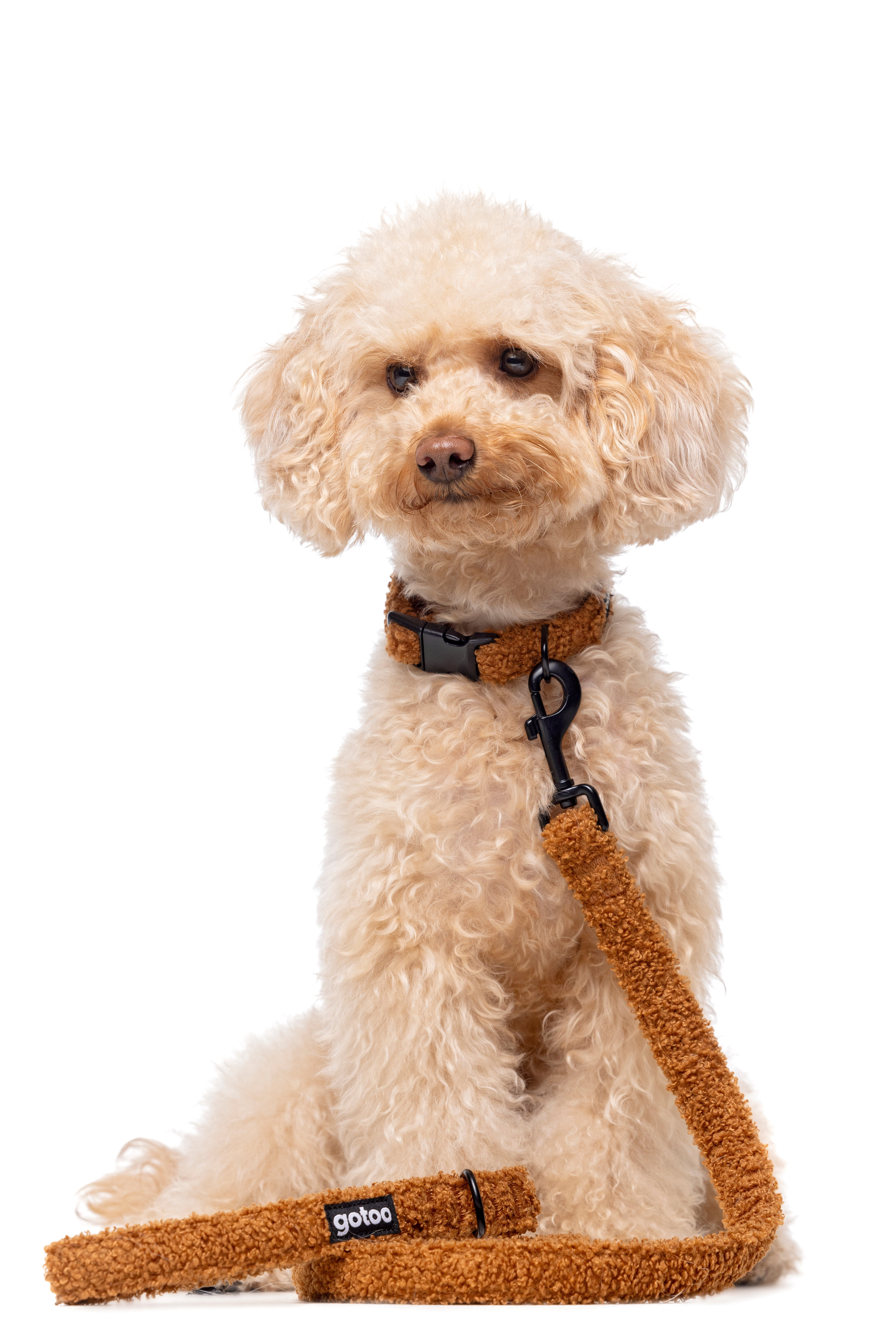 Gotoo - Collier Ourson Brun pour Chien - XS Image num&eacute;ro 6