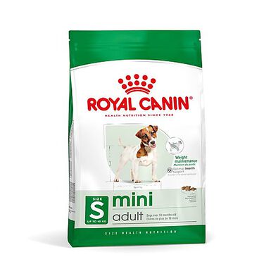 Royal Canin - Croquettes Mini Adult pour Chien de Petite Taille
