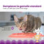 Outward Hound - Tapis d'Alimentation Fishie Fun Feed pour Chats - Rose Indicateur image numéro 6