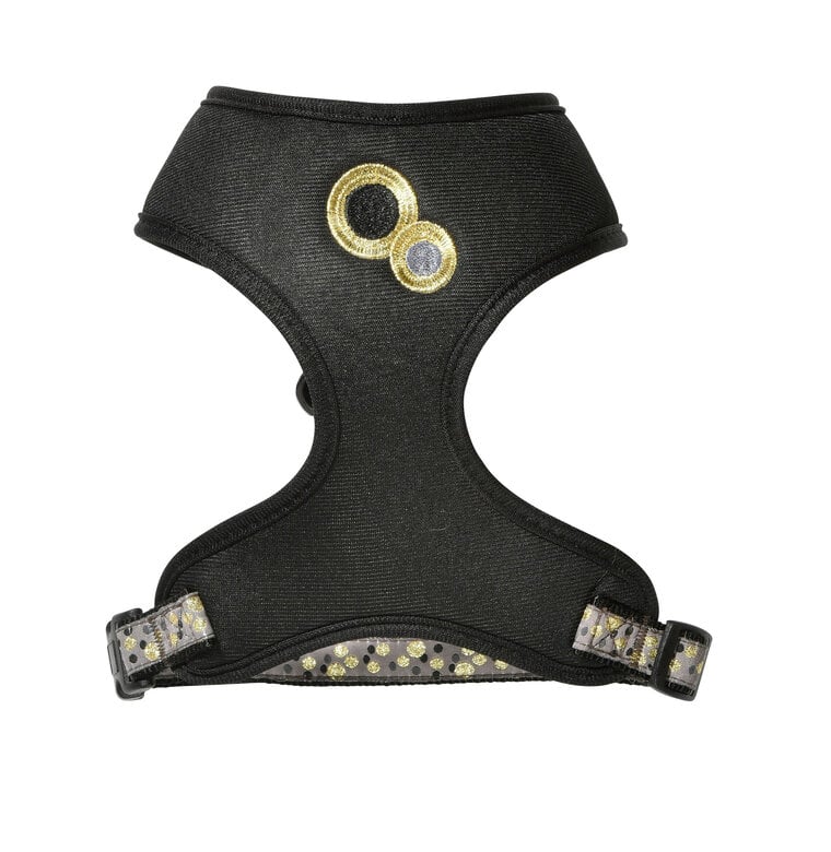 Bobby - Pack Harnais T-Shirt + Laisse Chamane Noir - M Image numéro 1 Bobby - Pack Harnais T-Shirt + Laisse Chamane Noir - M Image numéro 1