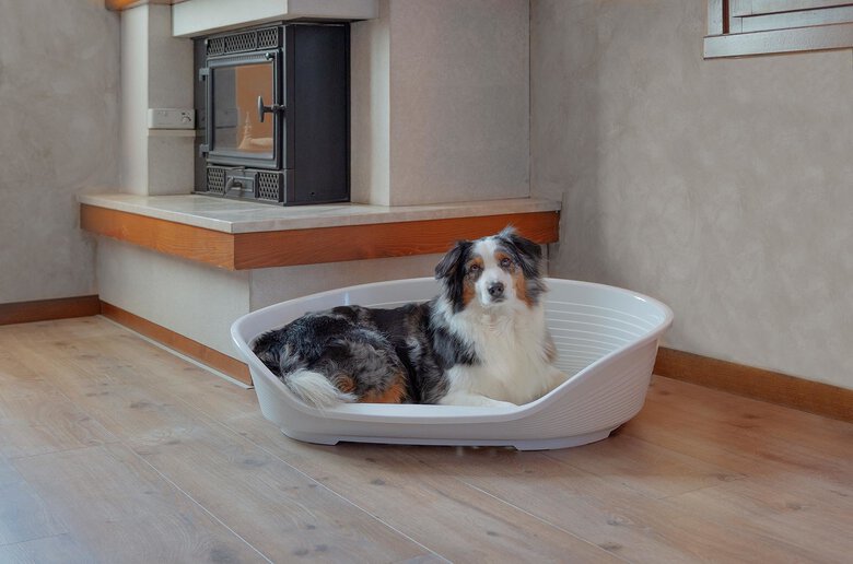 Ferplast - Corbeille Siesta Deluxe 10 Bordeaux pour Chiens Image numéro 4 Ferplast - Corbeille Siesta Deluxe 10 Bordeaux pour Chiens Image numéro 4