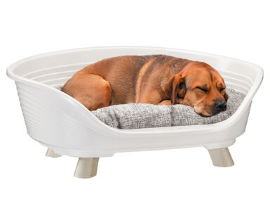 Ferplast - Corbeille Plastique Throne 6 pour Chiens - Blanc