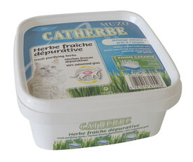 Muzo - Herbe Catherbe Fraîche Dépurative pour Chat