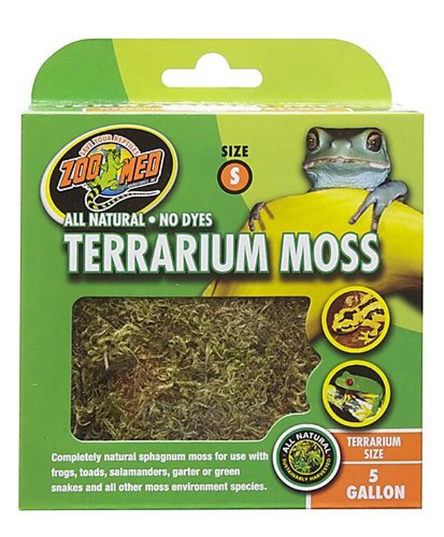 Zoomed - Mousse Terrarium Moss pour Terrarium - S image number null