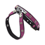 Comme Un Roi - Harnais Cuir So Funky Rose pour Chien - L Indicateur image numéro 1