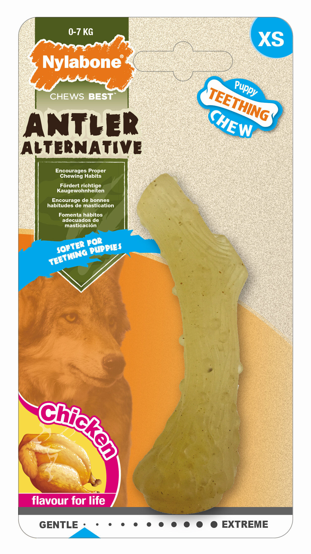 Nylabone - Jouet Os &agrave; M&acirc;cher Puppy Teething au Poulet pour Chiots - XS Image num&eacute;ro 1