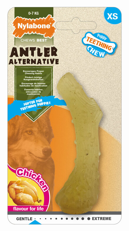 Nylabone - Jouet Os à Mâcher Puppy Teething au Poulet pour Chiots - XS Image numéro 1 Nylabone - Jouet Os à Mâcher Puppy Teething au Poulet pour Chiots - XS Image numéro 1