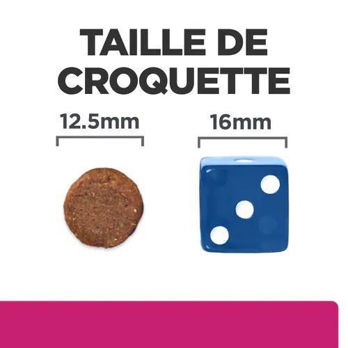 Hill's - Croquettes Prescription Diet Gastrointestinal Biome pour Chiens - 1,5Kg Image num&eacute;ro 3