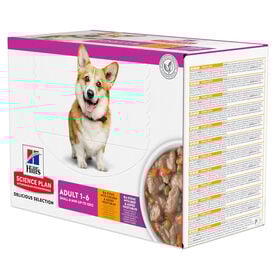 Hill’s Science Plan - Mijoté Pour Chien Adulte Small & Mini Au Poulet Et Légumes Ajoutés  - 12x80g
