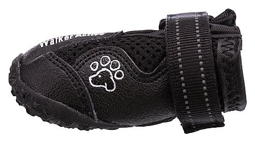 Chaussette pour chien animalis cheap
