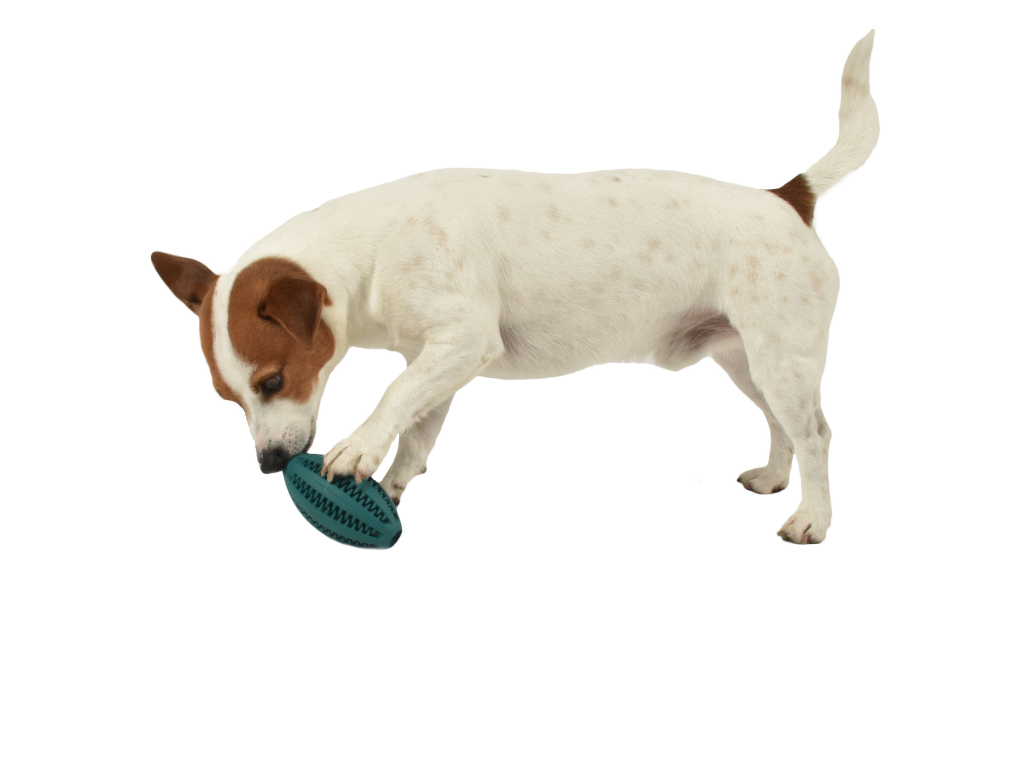 Bobby - Jouet Balle Caoutchouc Cache Friandises Vert pour Chiens Image num&eacute;ro 2