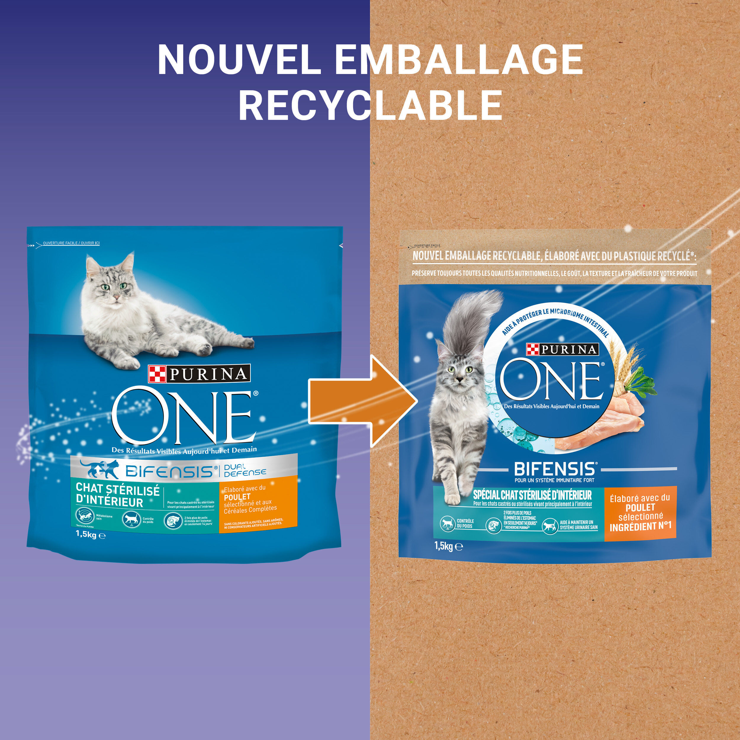 Purina One - Croquettes au Poulet et Bl&eacute; pour Chat St&eacute;rilis&eacute; d'Int&eacute;rieur - 1,5Kg Image num&eacute;ro 3