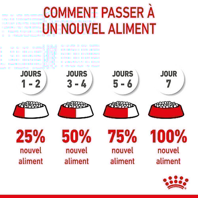 Royal Canin - Croquettes Kitten pour Chaton - 400g Image numéro 10 Royal Canin - Croquettes Kitten pour Chaton - 400g Image numéro 10