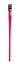 Animalis - Laisse Basic Fuchsia pour Chien - 25mm et 100cm Indicateur image num&eacute;ro 2