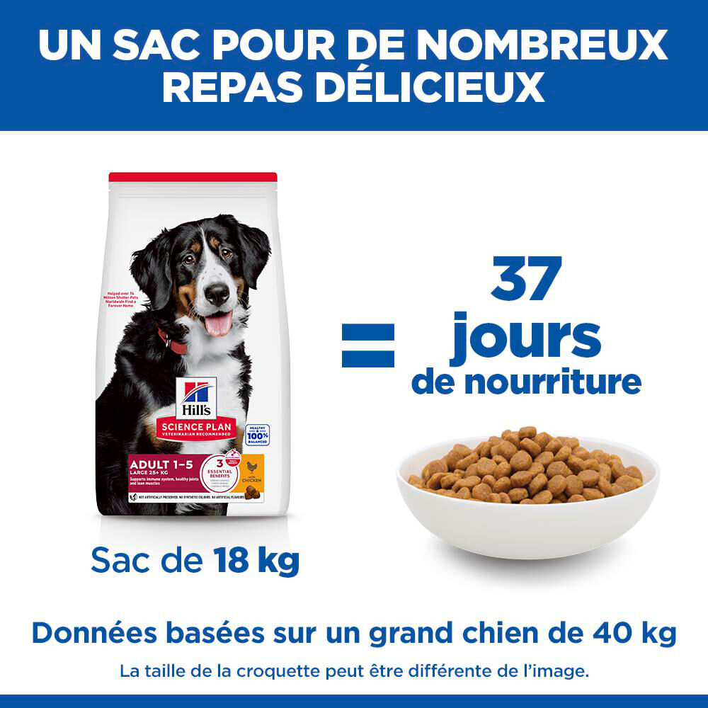 Hill's Science Plan - Adult Croquettes Pour Grand Chien Au Poulet  - 18kg Image num&eacute;ro 14