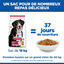 Hill's Science Plan - Adult Croquettes Pour Grand Chien Au Poulet  - 18kg Indicateur image num&eacute;ro 14