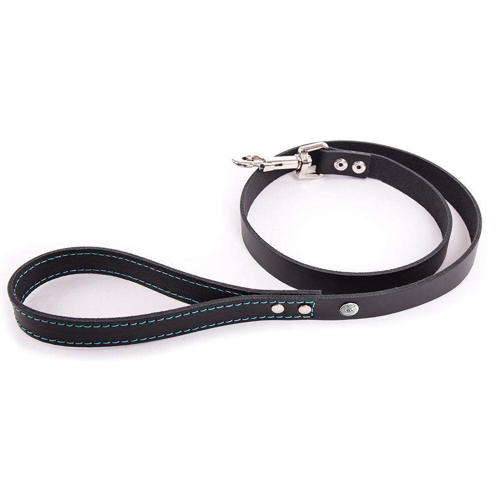 Martin Sellier - Laisse Flash T100 pour Chiens - Noir/Turquoise Image num&eacute;ro 1