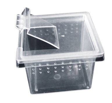 Reptiles Planet - Boite Elevage Reptiles ou Insectes XS  - 6,8x6,8x4,5cm