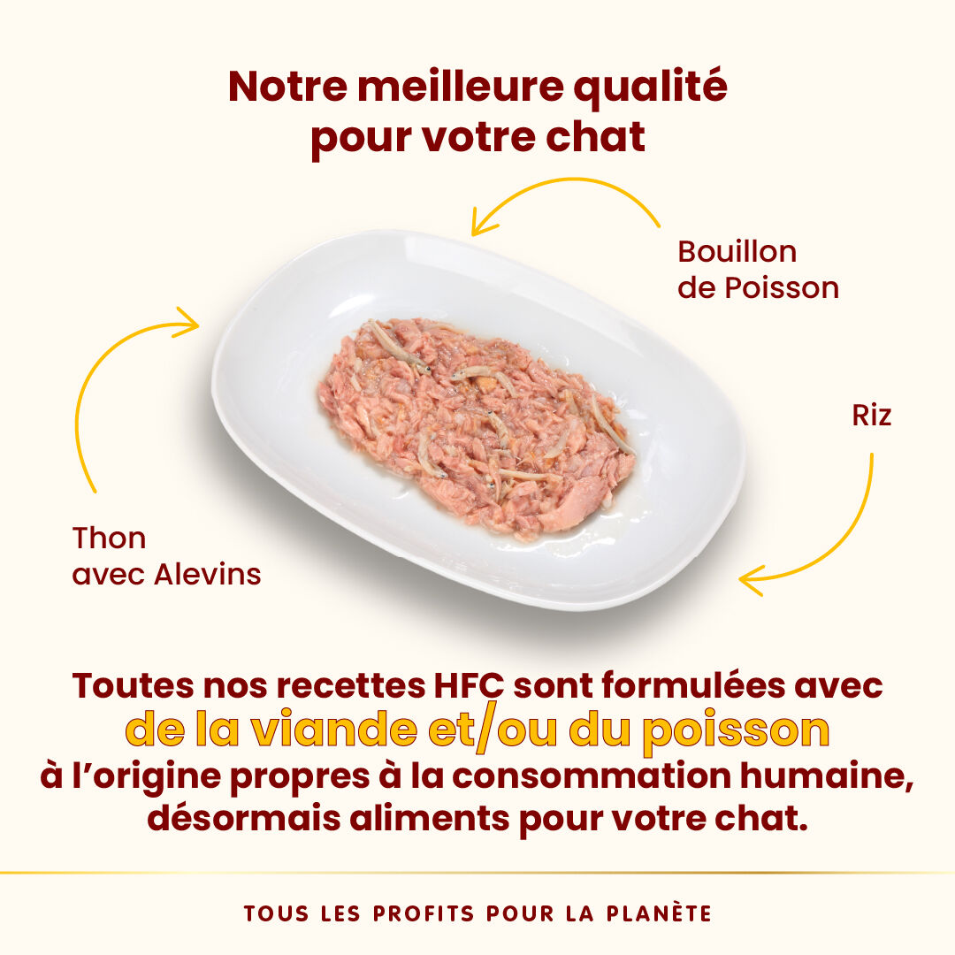 Almo Nature - P&acirc;t&eacute;e en Bo&icirc;te HFC Natural Thon avec Alevins pour Chat - 70g Image num&eacute;ro 3