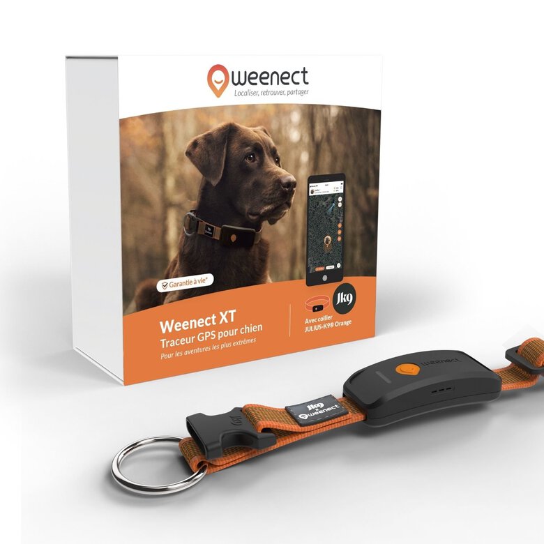 DCUKPST Traceur GPS Chien, Mini Collier GPS pour Chien Animaux Real DCUKPST Traceur GPS Chien, Mini Collier GPS pour Chien Animaux Real