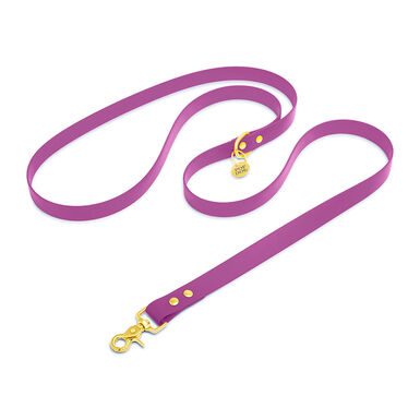 Pop Dog - Laisse Bandoulière Précieux Violet pour Chien