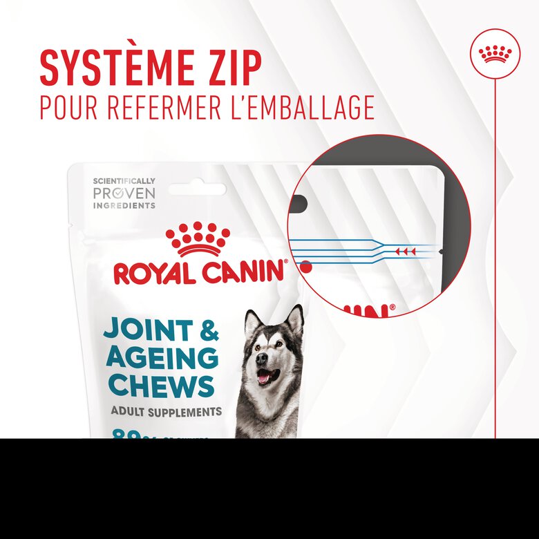 Royal Canin - Aliment complémentaire Adult Joint & Agieing Chews pour Chiens - 240g Image numéro 10 Royal Canin - Aliment complémentaire Adult Joint & Agieing Chews pour Chiens - 240g Image numéro 10
