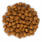 Hill's Science Plan - Croquettes Healthy Development Medium Puppy Poulet pour Chiot - 12Kg image number null