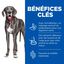 Hill's Science Plan - Perfect Digestion Large Breed Croquettes Pour Chien  - 12kg Indicateur image numéro 3
