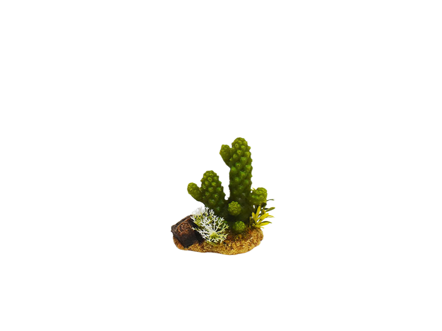 Amtra - D&eacute;coration Mexico Cactus 4 pour Aquarium Image num&eacute;ro 1
