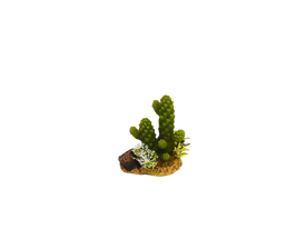 Amtra - D&eacute;coration Mexico Cactus 4 pour Aquarium