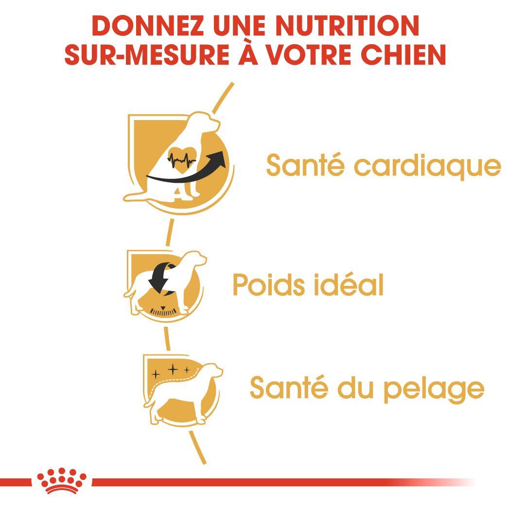 Royal Canin - Croquettes Cavalier King Charles pour Chien Adulte - 3Kg Image num&eacute;ro 5