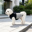 Gotoo - Manteau Polaire Bicolore pour Chiens - 25cm Indicateur image num&eacute;ro 15