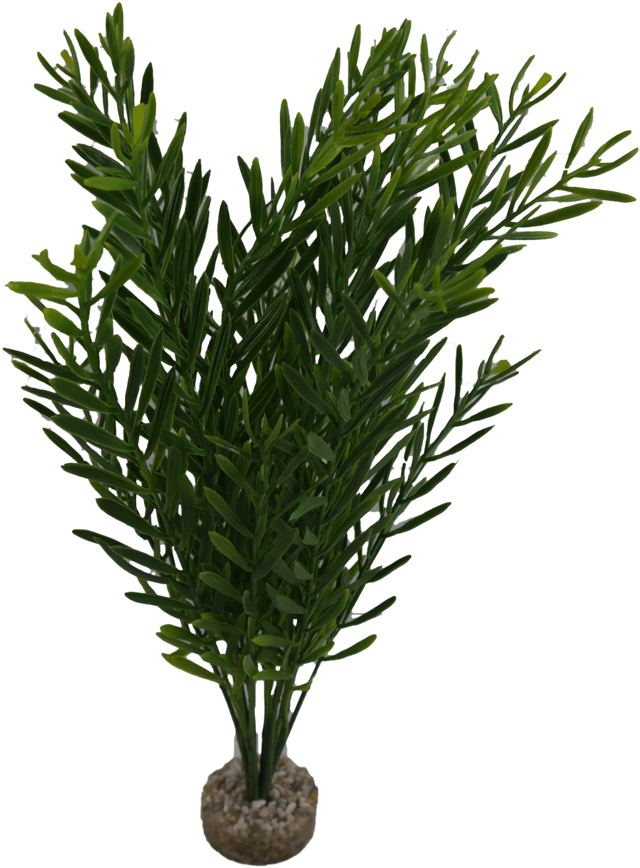 Labeo - Arbre assorti grand mod&egrave;le - Plante Artificielle Aquarium Image num&eacute;ro 2