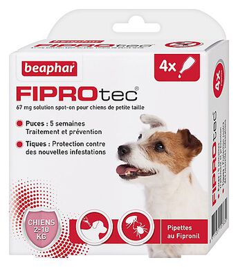 Beaphar - Pipettes Antiparasitaires Fiprotec pour Petit Chien - X4