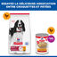 Hill's Science Plan - Croquettes Adult  Au Poulet pour Chiens - 12kg Indicateur image num&eacute;ro 13