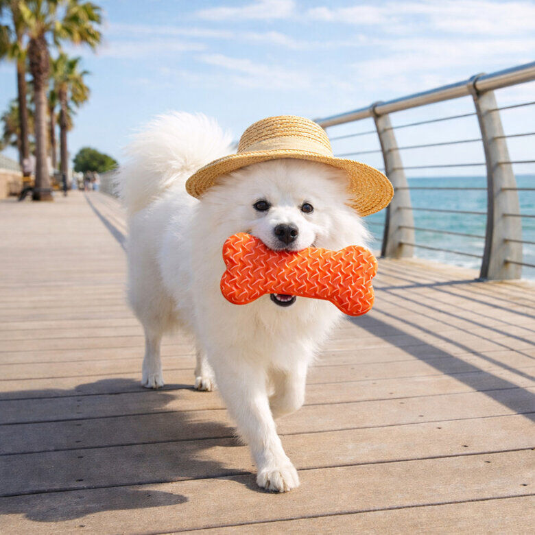 Summer Vibes - Jouet Os Rafra&icirc;chissant pour Chiens - Orange Image num&eacute;ro 6