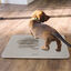 Animalis - Pad Éducateur pour Chiots Indicateur image numéro 2