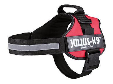 Julius-K9 - Harnais Power L de 71-96cm pour Chien - Rouge