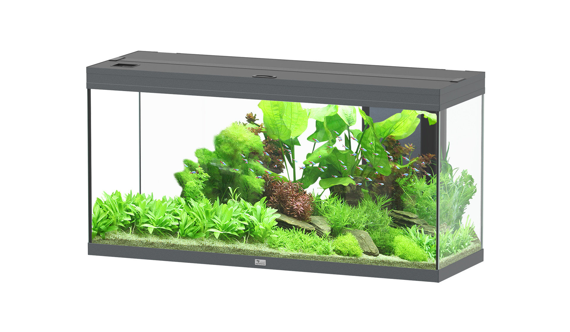 Aquatlantis - Aquarium SPLENDID 120 Led 2.0 Equip&eacute; Anthracite - 240L Image num&eacute;ro 1