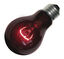 Zoomed - Ampoule chauffante infrarouge nocturne pour terrarium - 60W Indicateur image numéro 2